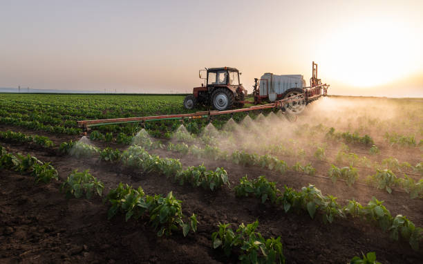 Pine Ridge, SD Pest Control Company