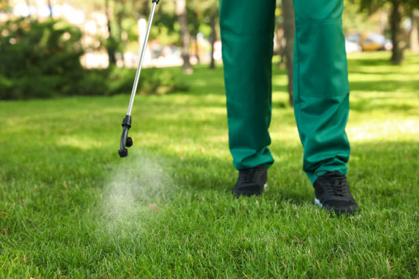 Best Emergency Pest Control  in Pine Ridge, SD